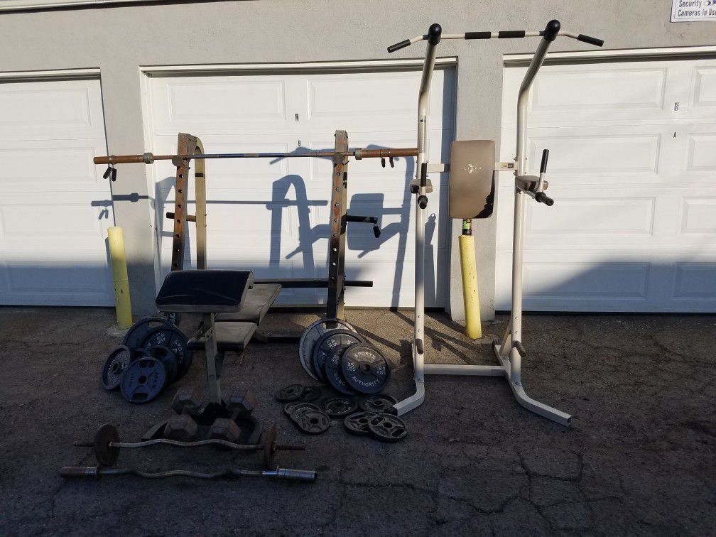Squat rack, pull up and dip station, plus weights and bench