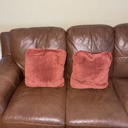Free - Couch Pillows