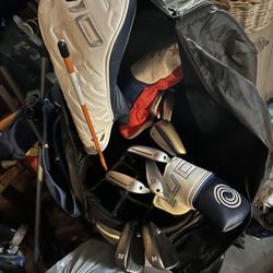 Taylor Made Golf Set