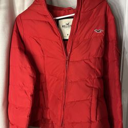 Hollister Jacket 