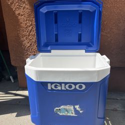 Igloo Cooler Ice Chest
