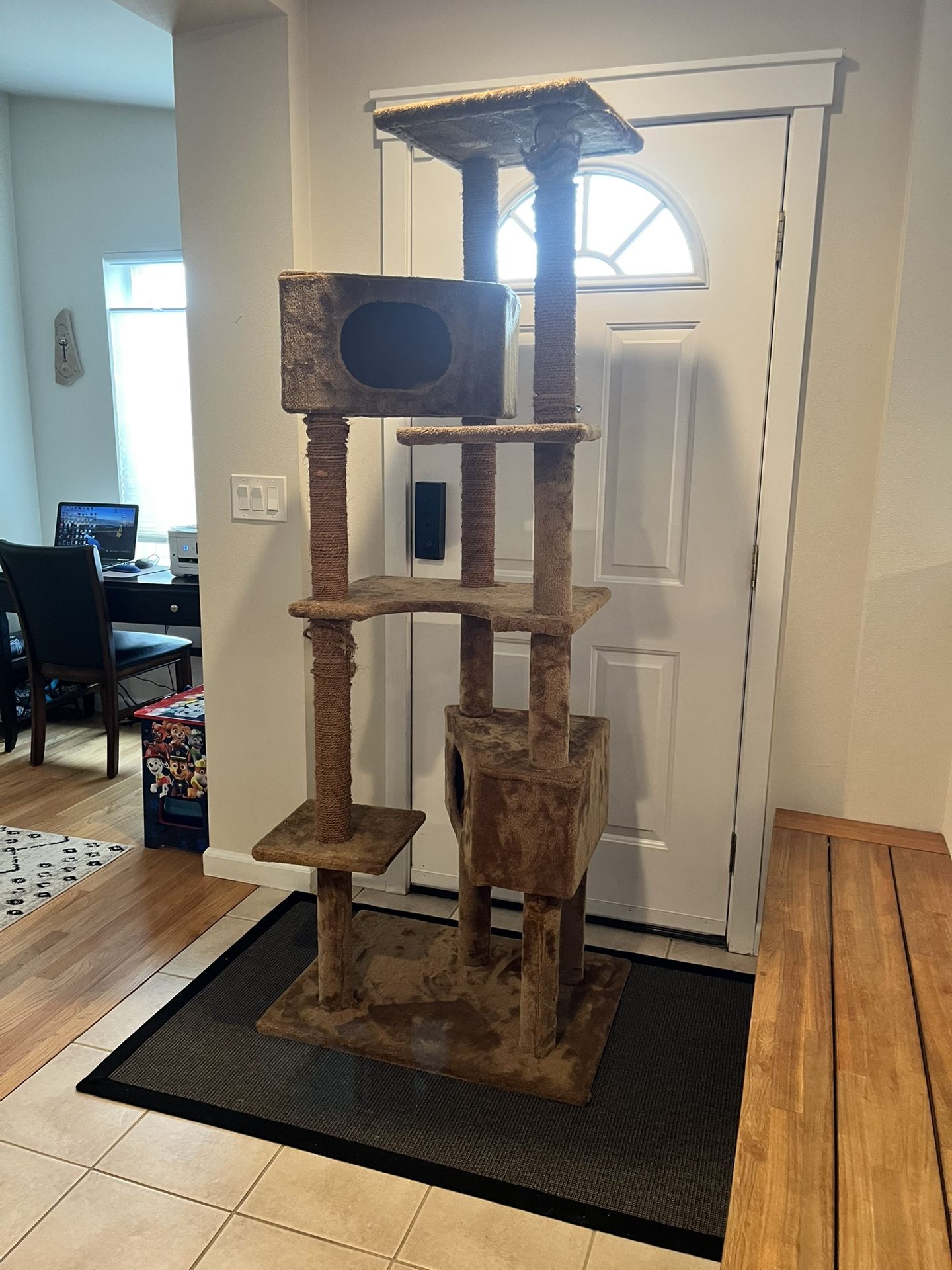 Free -  Cat Tree