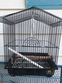 Bird Cage