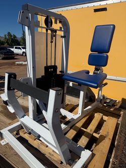 Life fitness Calf extension