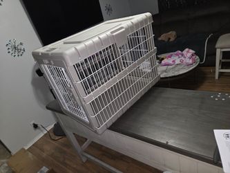 2 Foldable Pet Crates / Dog Kennel - Like New