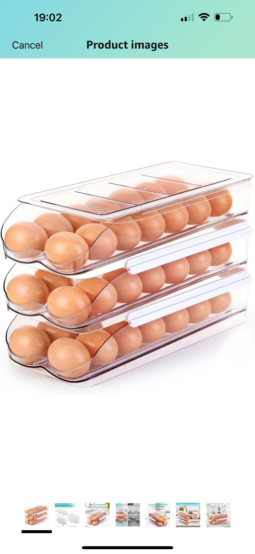 Egg Container