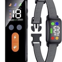 Dog Training Collar with Remote