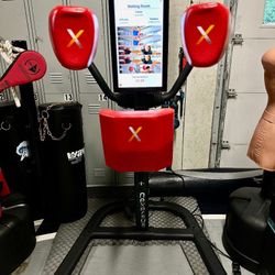 Nexersys N3 Elite Boxing Trainer - Premium Home Gym (w/ EXTRAS!)