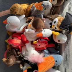 TY Beanie Baby Birds