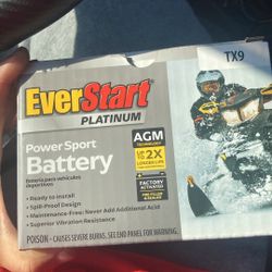 Everstart Platinum Battery