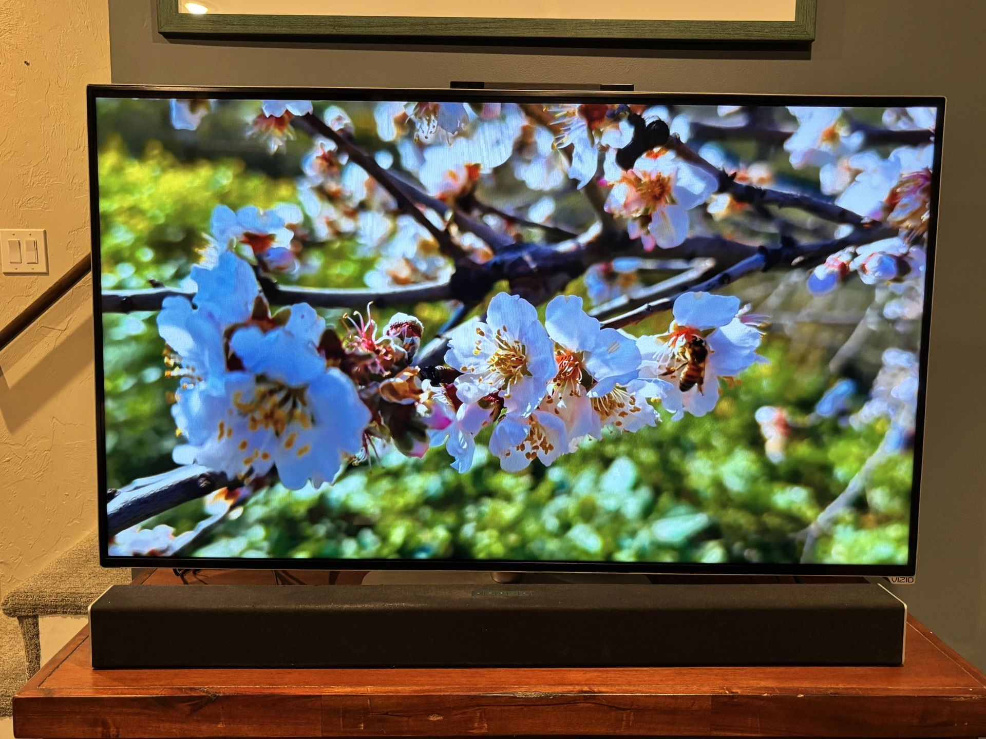 50" TV and Surround Sound System