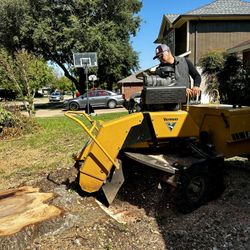 Stump Grinding Service 