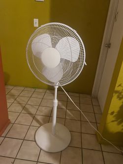 Pedestal Fan 