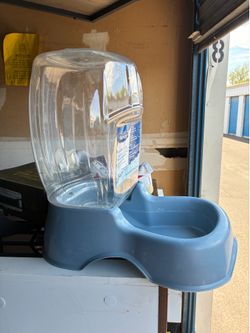 Dog drinking bowl