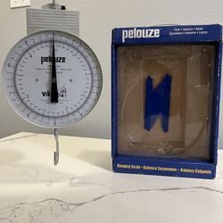 Hanging Scale