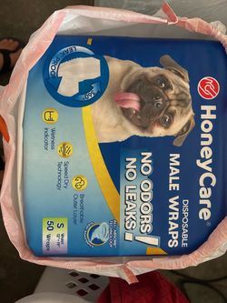 HoneyCare Disposable Male Dog Wraps Small 50 Count