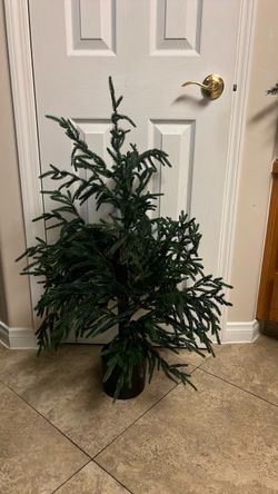 3f Norfolk faux tree
