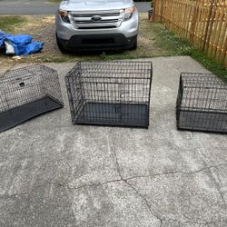 Dog Kennels