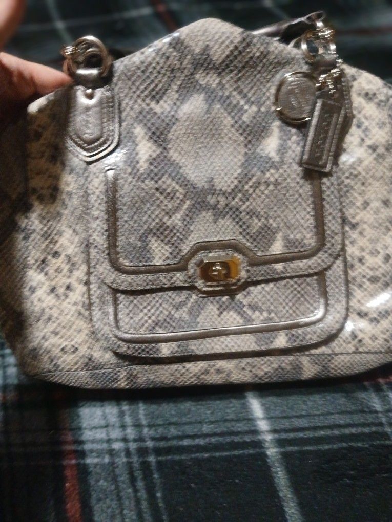 Brand New!Authentic COACH Embossed Python Skin Purse