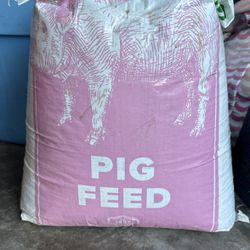Free Pig Feed 