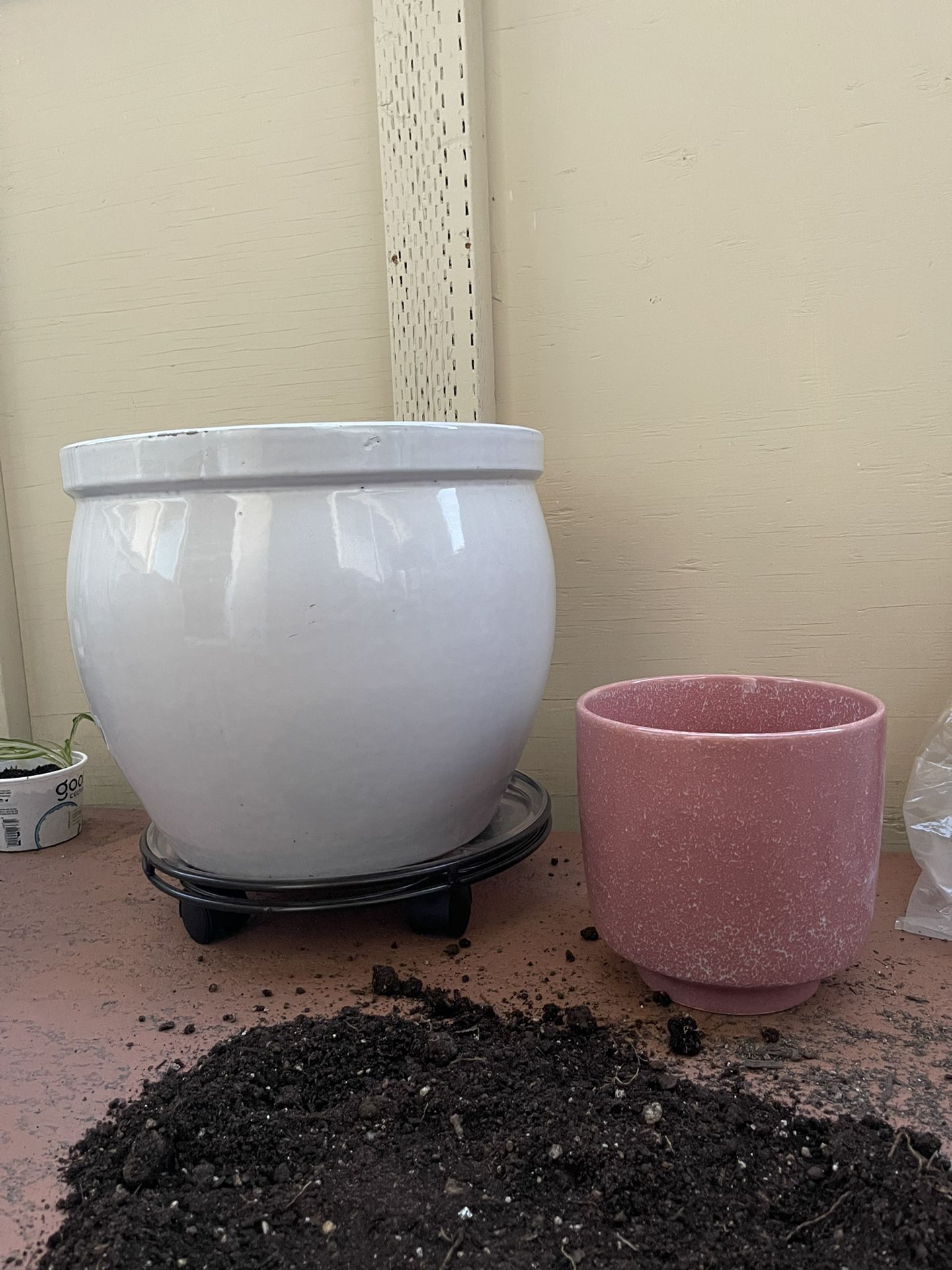 Huge White ceramic Giant Plant Pot & Medium Size Pink, Ceramic, And Plant Pot Planter Plants