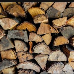 Firewood 