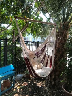 Red and off white Hammock chair 100% Cotton hand turned cedar bar
