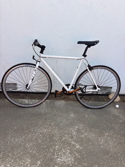 Phat Cycle Phixie