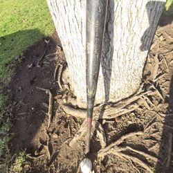 Pro Style "Big Barrell" Wood Bat ( SEE PICS) LOCATED IN GLENDORA.  SEE MY PAGE FOR OTHER BASEBALL EQUIPMENT FOR SALE "CHEAP "