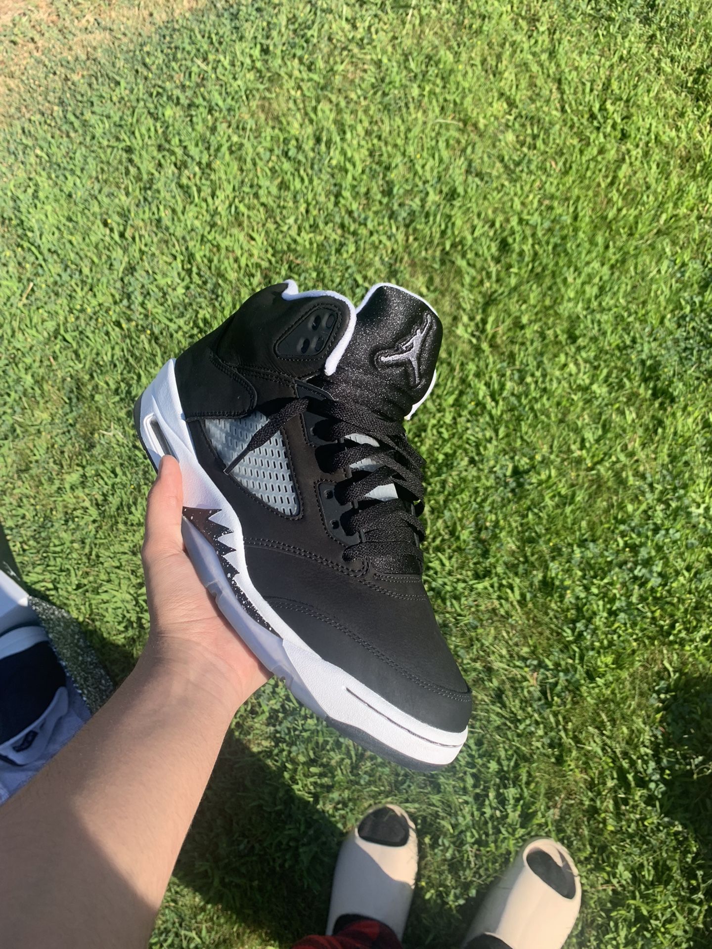 Jordan 5 Moon Lights