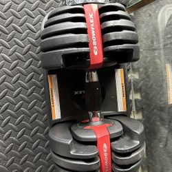 Bowflex Weights 