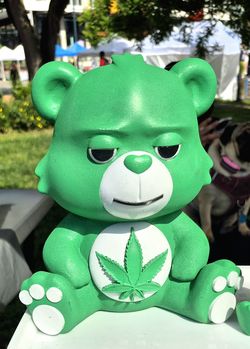 Groovey bear