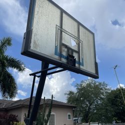 Basketball Hoop