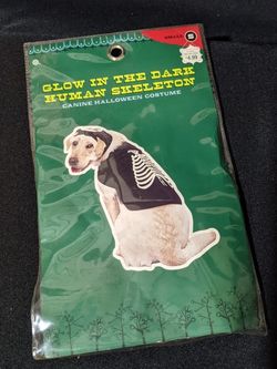 Dog Costume