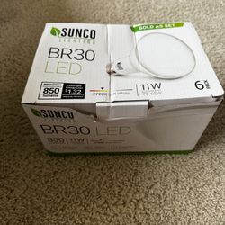 4 LED Bulbs 