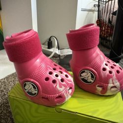 dog crocs