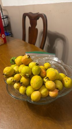Guavas