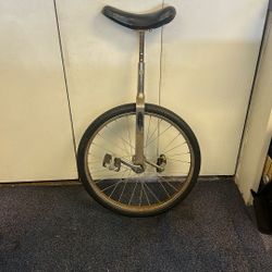 SCHWINN UNICYCLE 