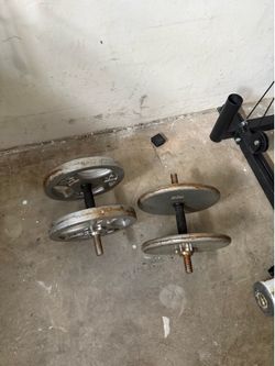 2 spin lock adjustable dumbells + cast iron plates