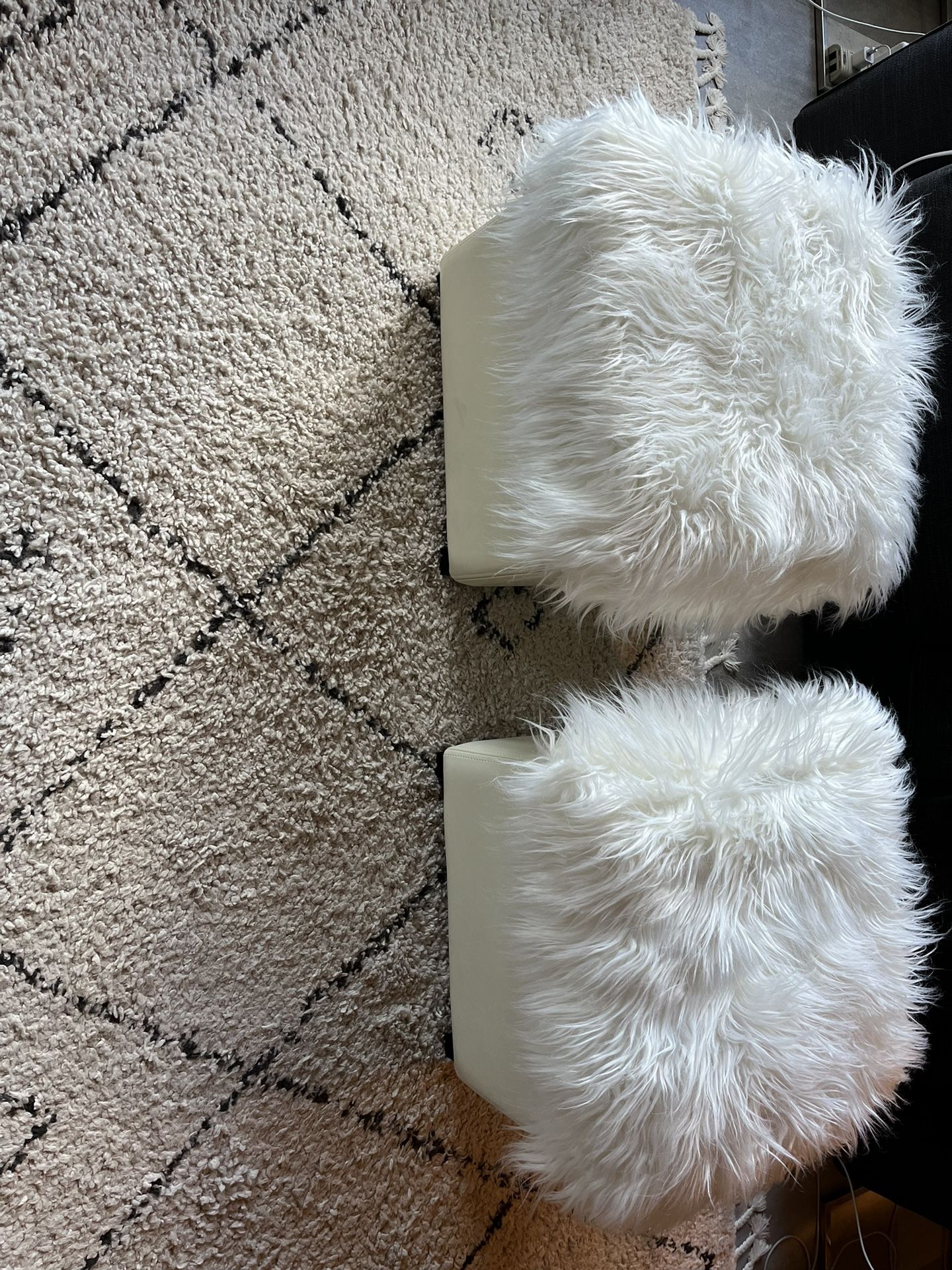 2 Ottoman With Storage