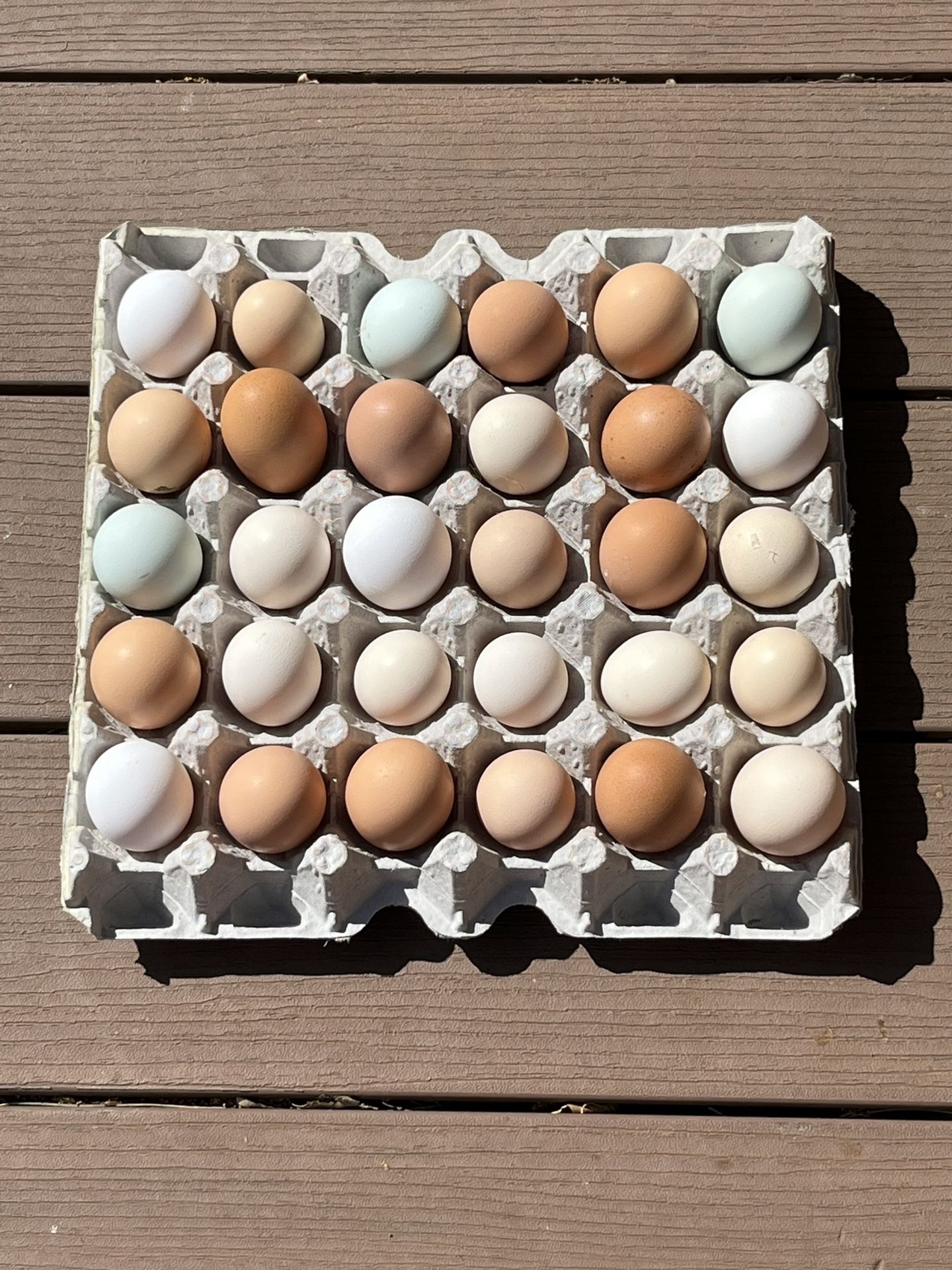 Chicken Eggs For Sale