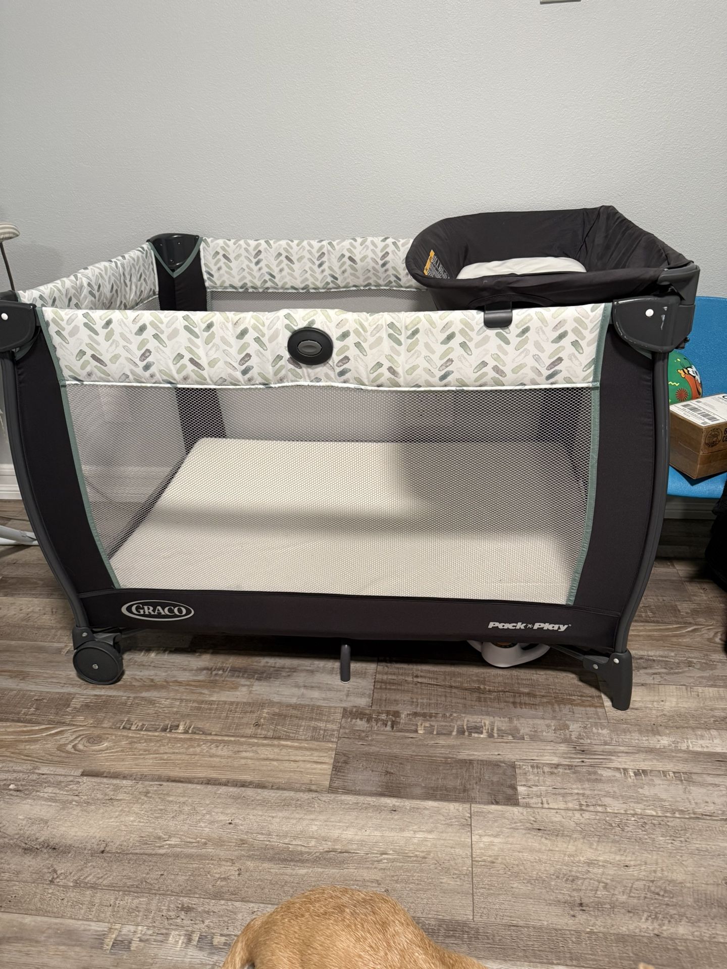 Graco Play Pen With Canopy 