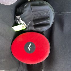 EVERLAST Pro Style Elite Punch’s Mitt