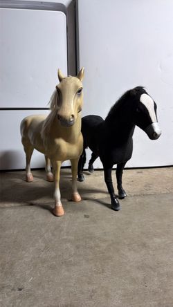 Horses