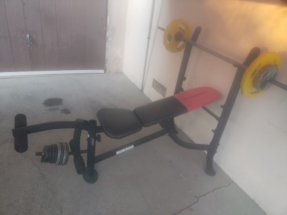 Weights And Bench