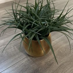 Faux plant Decor