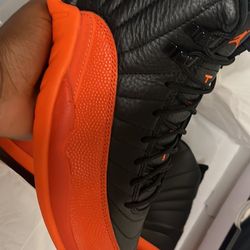 Jordan 12 
