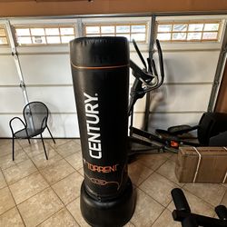 Punching Bag 