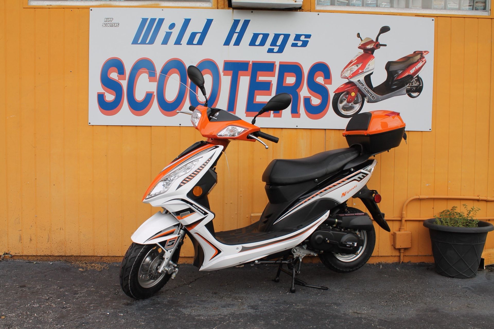 Peace Sports Nightsky 50cc Scooter with 1-Year Parts AND Labor Warranty