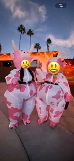 Inflatable Pink Cow Halloween Costume